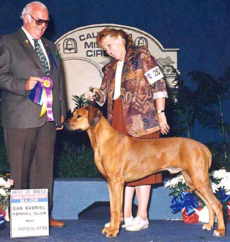 Rhodesian Ridgeback Ch Tropaco Rocket's Red Glare, "Reno"